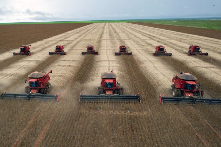 Agribusiness gets its turn to co-opt the climate COP in Brazil