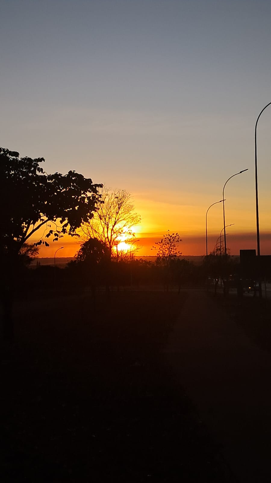 Cravar a vida onde cada dia pudesse ser celebrado, ao mesmo tempo em que meu direito de existência digna fosse legítimo e amplamente assegurado.