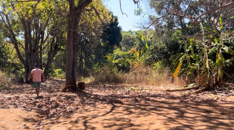 Desocupação forçada de territórios em Goiás é símbolo do poder do governo estadual, avalia CPT