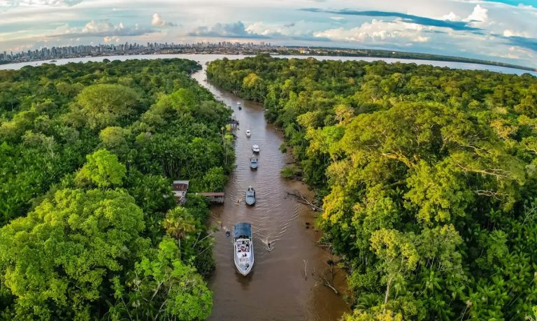 Anunciado por Lula, Fundo Florestas Tropicais só funcionará se exploração na Amazônia cessar
