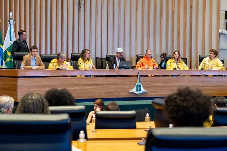 Câmara do DF debate combate a incêndios no Cerrado e cobra plano de mitigação 