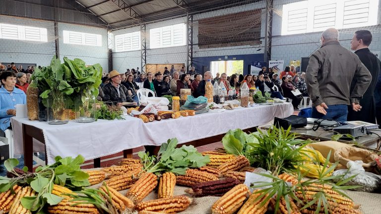 Encontro de sementes crioulas partilha vida em cidade gaúcha atingida por enchentes