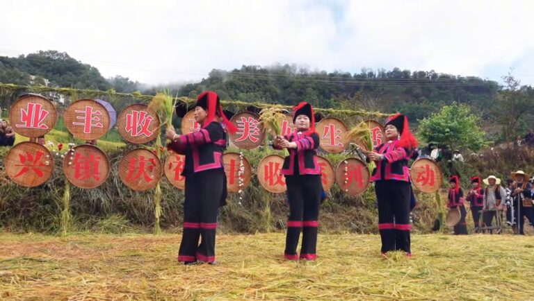 China realiza 8º Festival da Colheita Camponesa com 3 mil atividades em todo o país