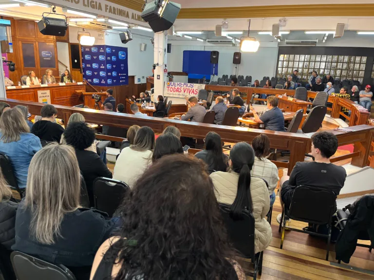 Comissão do Feminicídio debate violência contra mulheres em Bagé (RS)