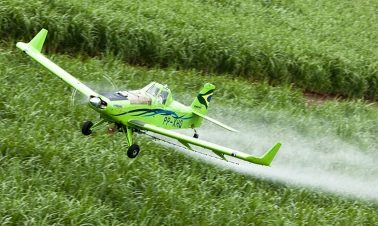 Justiça gaúcha consolida proteção à biodiversidade contra os danos da deriva do 2,4-D