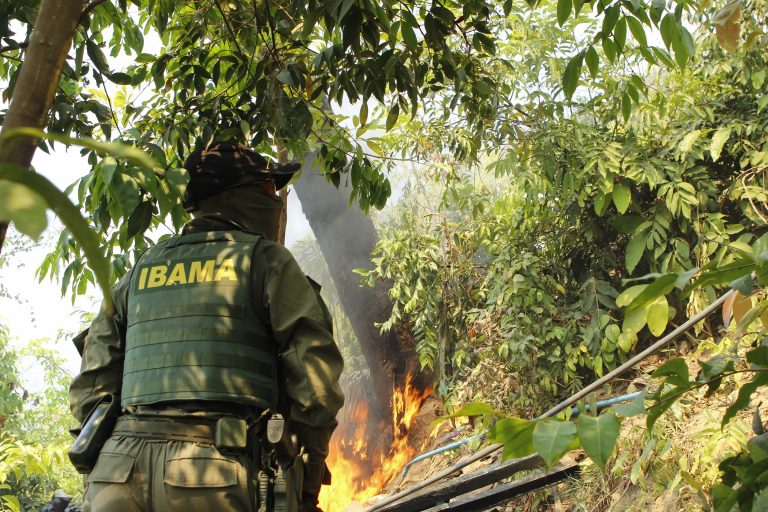 ‘Destruction is easy, rebuilding is slow’: Brazil loses over half of environmental inspectors