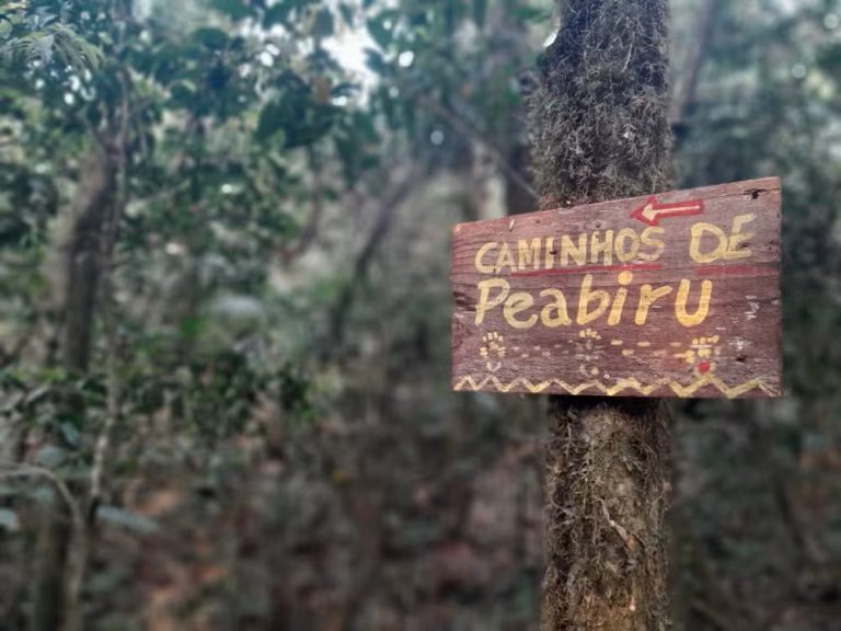 UFSC cria grupo de trabalho para proteção científica do Caminho de Peabiru