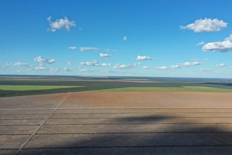 Dos 30 mil projetos no Congresso, apenas 8 propõem ações para preservar Cerrado