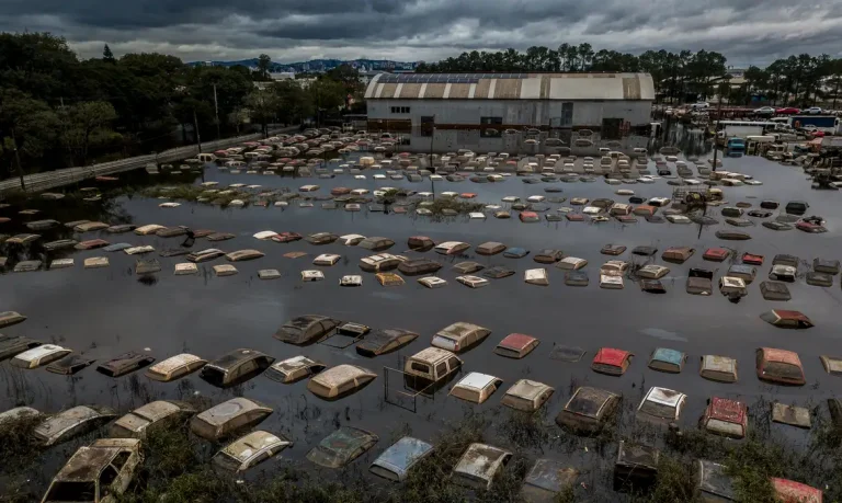 É preciso combater as causas da crise climática, não apenas as consequências