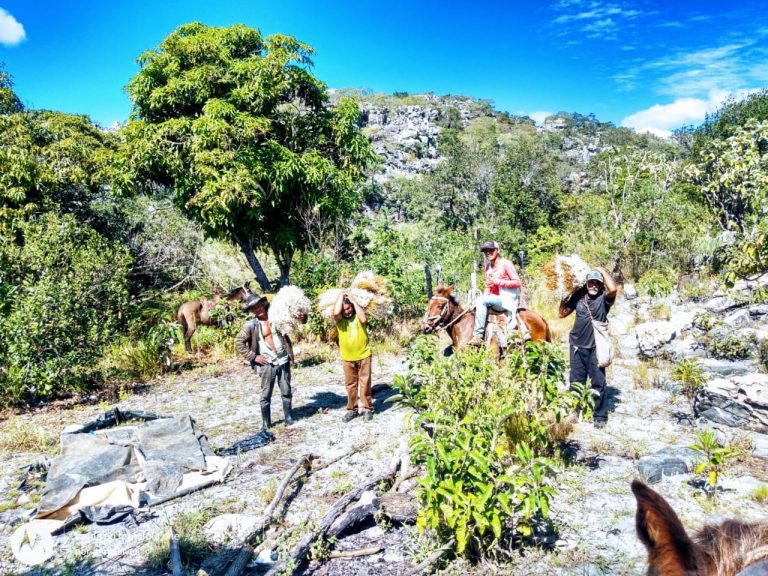 É urgente o avanço de medidas que garantam a proteção dos territórios de povos tradicionais