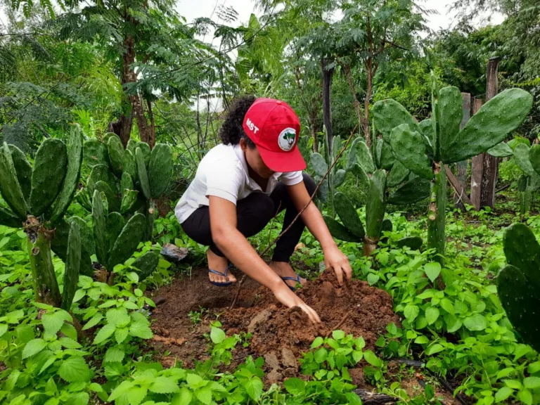 Cuidar da natureza também é cuidar do povo e o povo precisa se alimentar, diz dirigente do MST