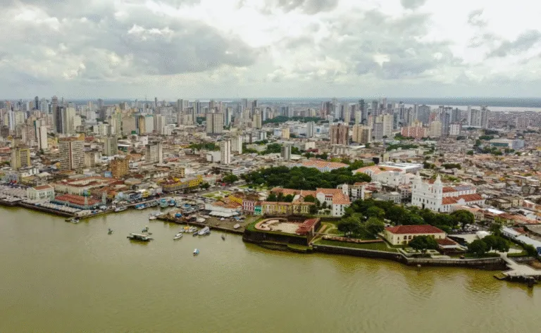 Mercado Verde: armadilha ou ferramenta para a agroecologia?
