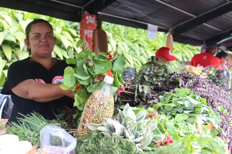‘Cultivar a terra, defender o Brasil’: 5ª feira estadual da reforma agrária chega a BH