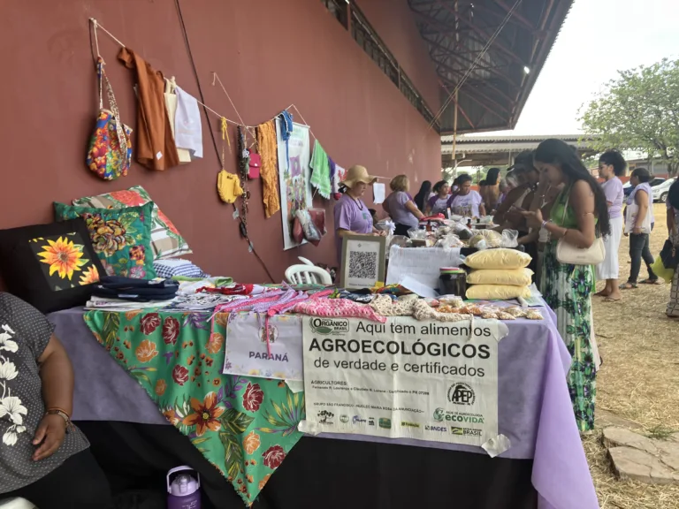 ‘Saber que vem do chão’: mostra valoriza saberes tradicionais de mulheres camponesas
