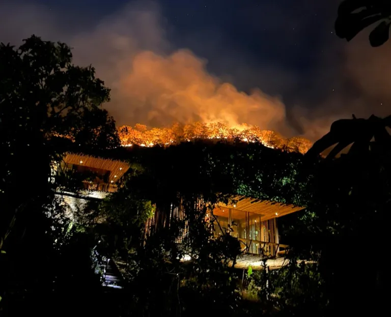 Incêndio na Chapada dos Veadeiros: fogo ameaça quilombo Kalunga e reservas naturais