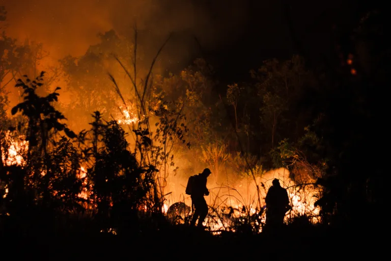 Incêndio em Cavalcante (GO) é controlado após atingir mais de 77 mil hectares