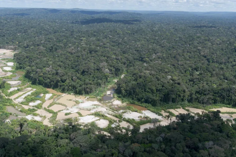 Menos de três meses após retirada de garimpeiros, desmatamento volta a ameaçar TI Munduruku