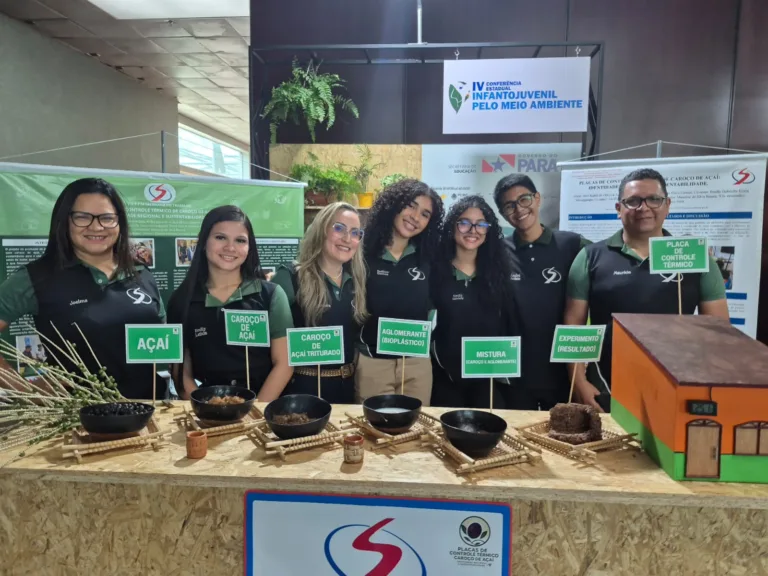 Estudantes transformam caroço de açaí em placas de controle térmico