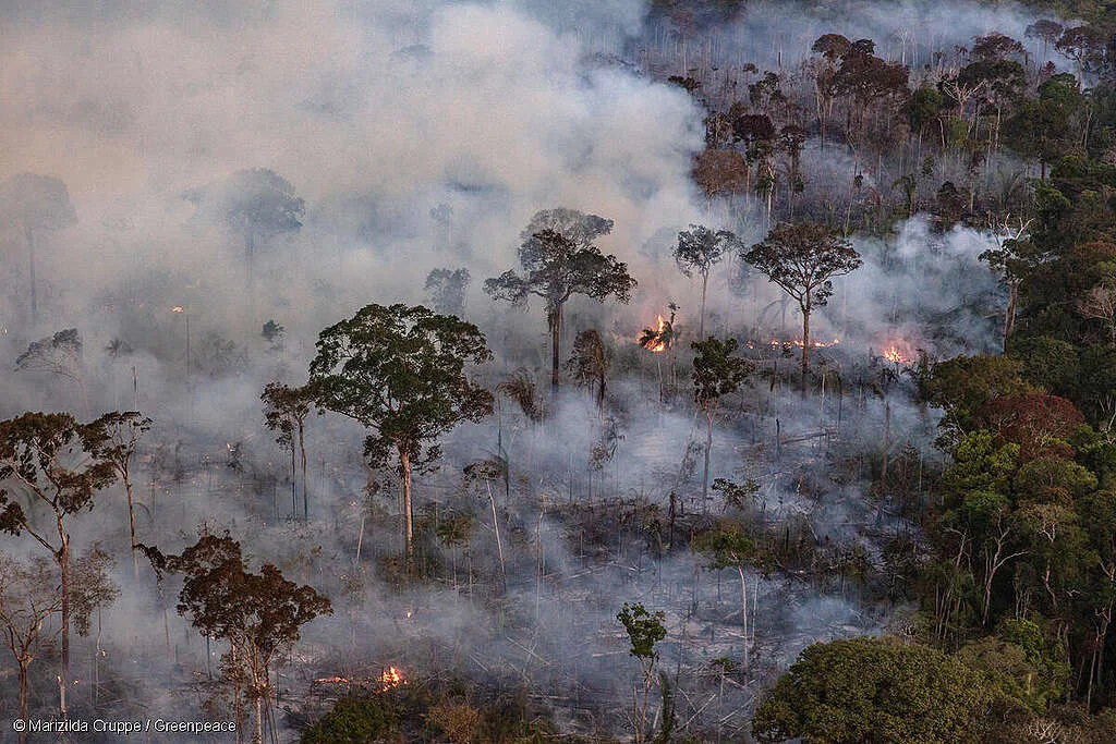 Dados do Seeg (Sistema de Estimativas de Emissões e Remoções de Gases de Efeito Estufa) apontam o agro como principal responsável pelo desmatamento e pela emissão desses gases no país