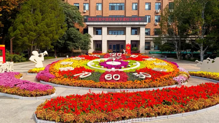 Parceira em projeto para máquinas camponesas no Brasil, universidade chinesa completa 120 anos