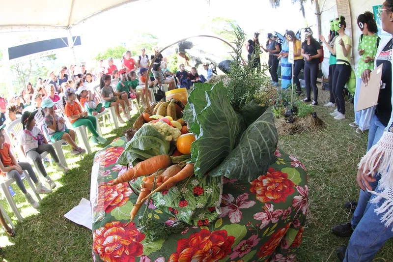Crianças tiveram espaço garantido na ciranda