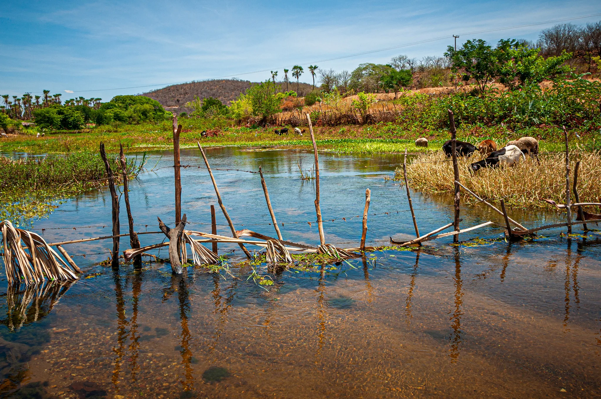Paisagem no município de Conceição do Canindé, região semiárida piauiense