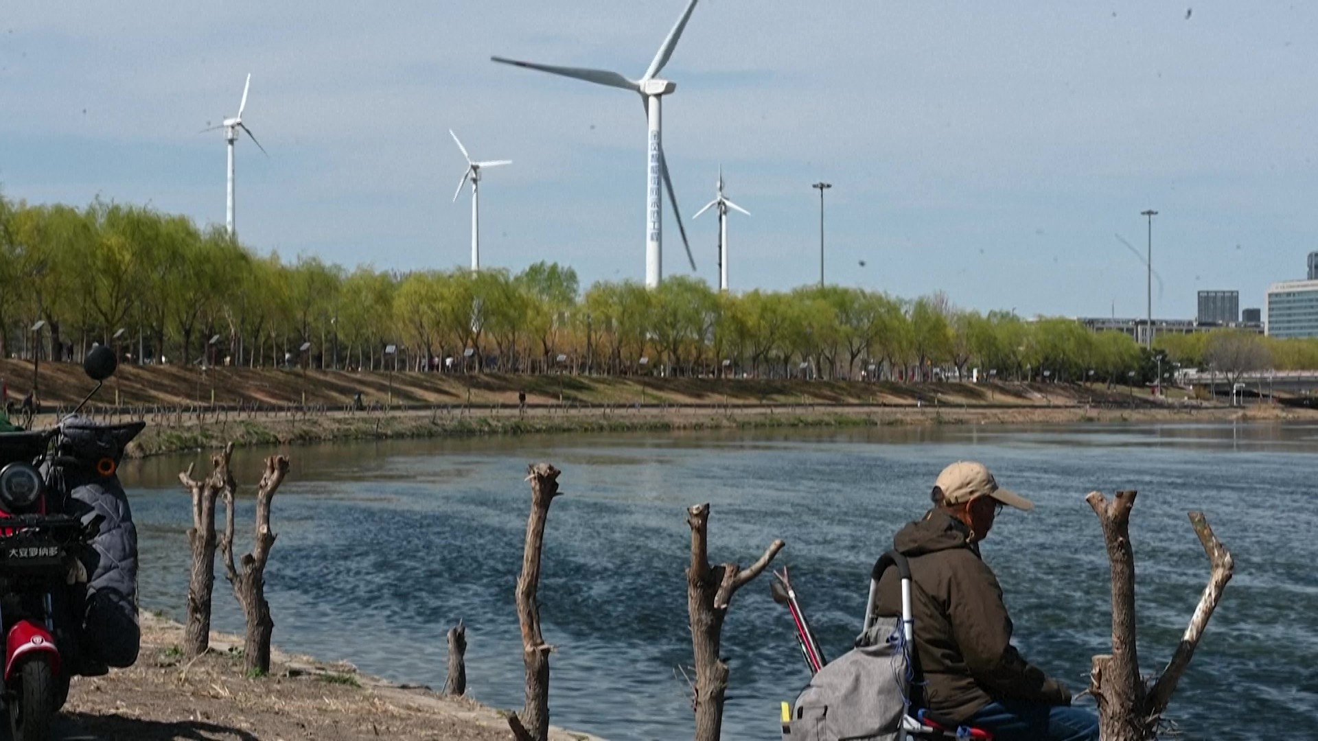 Virada ecológica da China ocorreu após país enfrentar grave quadro de poluição