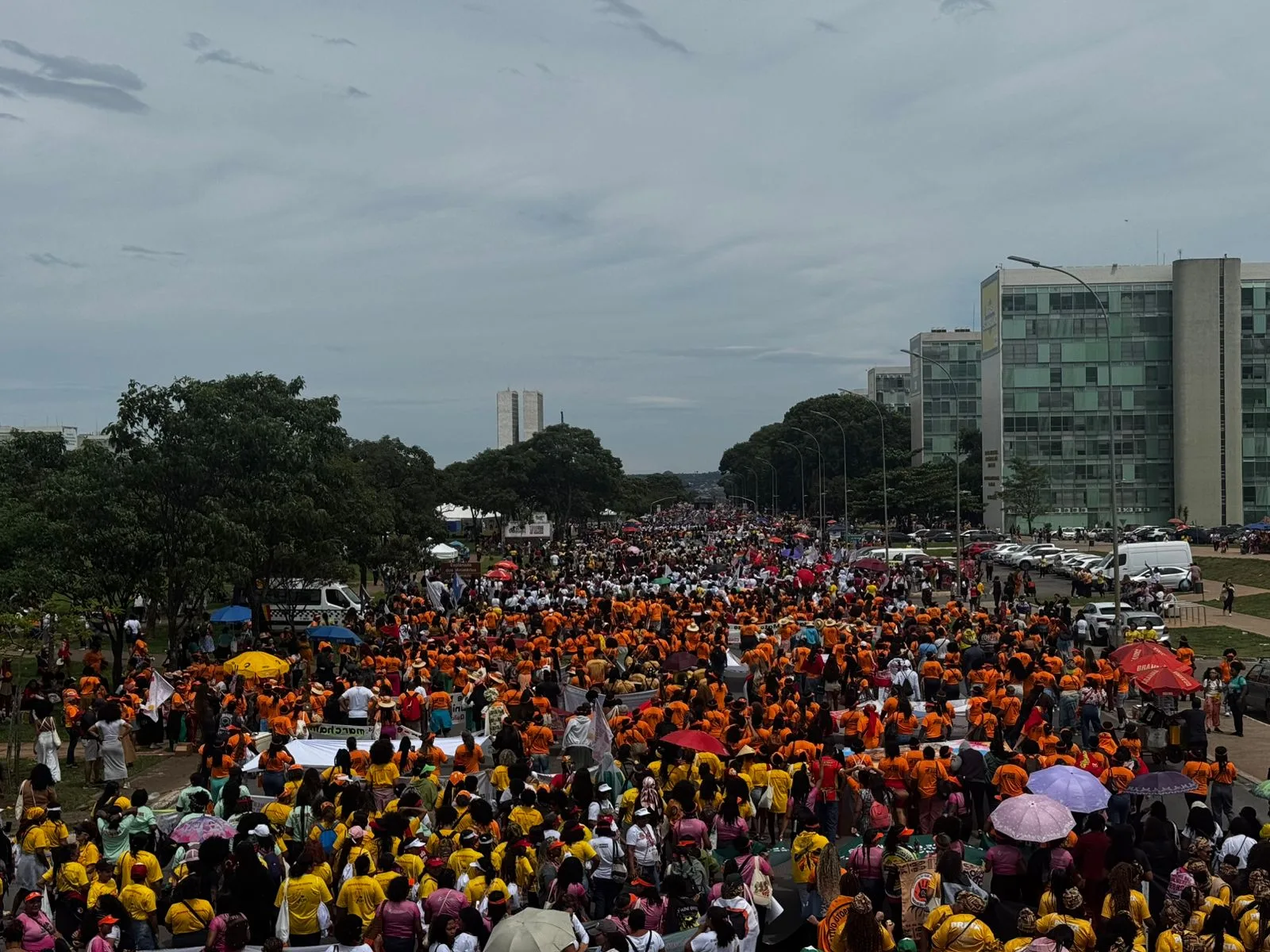 Mulheres marchando com congresso nacional no fundo