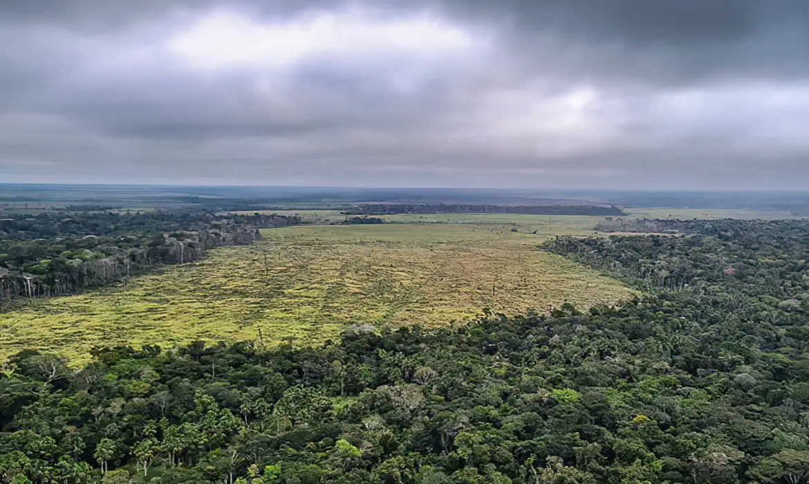 O comunicado também menciona o papel do Brasil na agenda internacional do clima