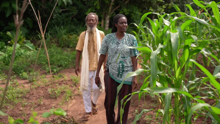 De Guadalupe ao Benin: família retorna a origem e funda escola de agroecologia pan-africanista