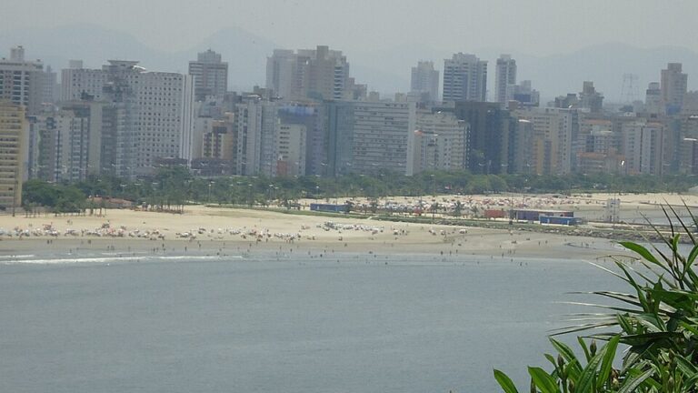 Praia imprópria? Especialista explica causas e como se proteger
