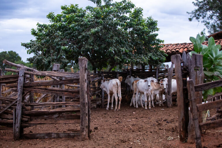 Para não desaparecer, comunidades rurais criam mapa indicando áreas de invasão das suas terras