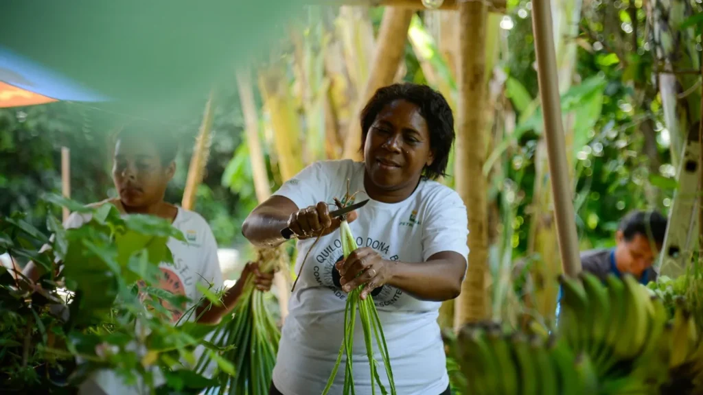 Além do combate à fome, essa forma de produção também é essencial para o cuidado com o meio ambiente