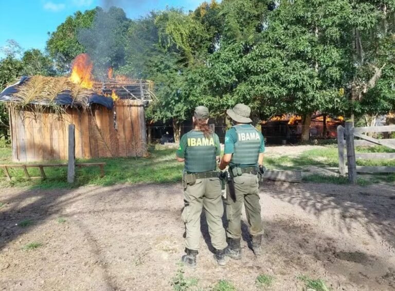 Brasil dobra o número de assassinatos no campo em 2025; vaqueiro morto no Pará é 26ª vítima
