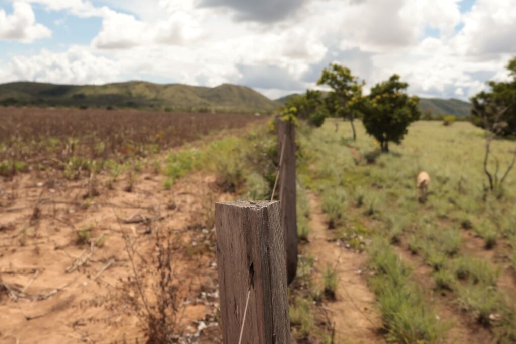 Apenas uma cerca de madeira separa o quintal de seu Jaime Silva, onde crescem os pés de caimbé e de caju, do terreno onde o solo é preparado para o plantio de soja (Foto: Caíque Souza)