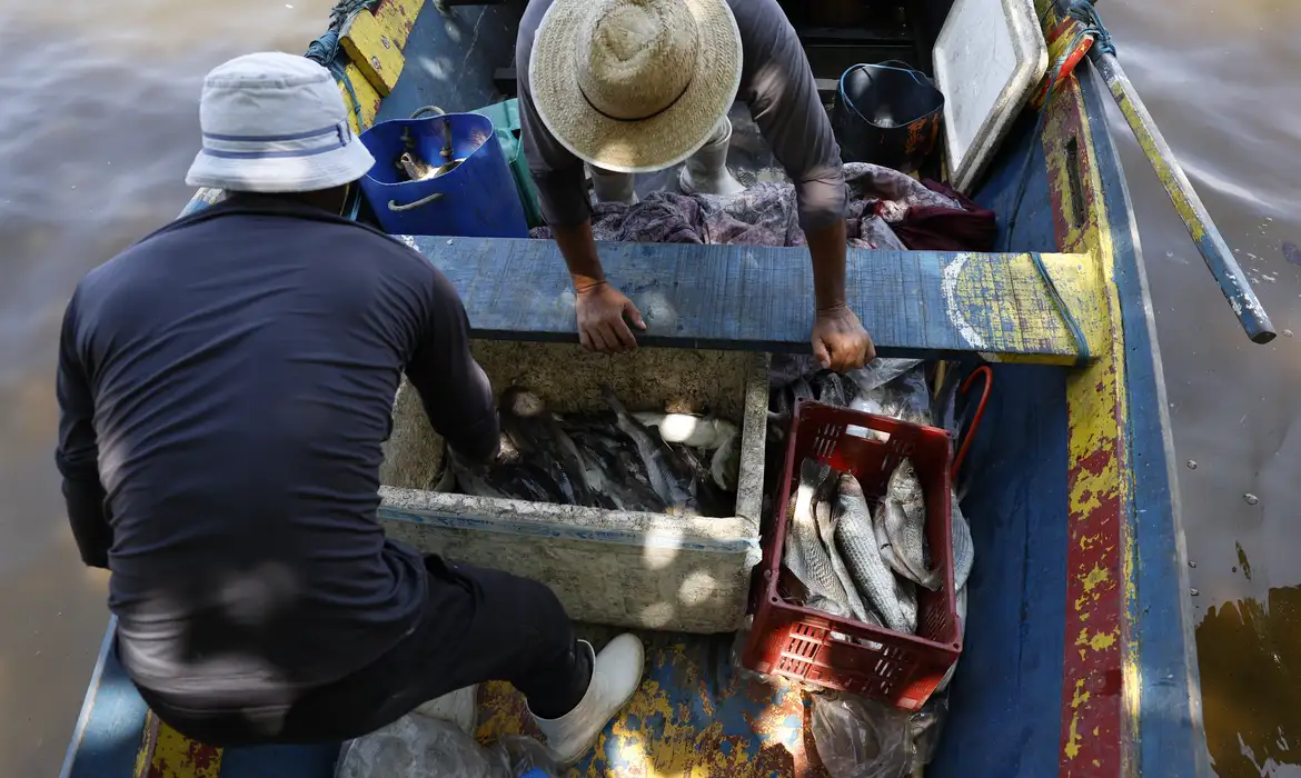 Pesca artesanal da tainha na praia do Sossego, na Baía de Guanabara