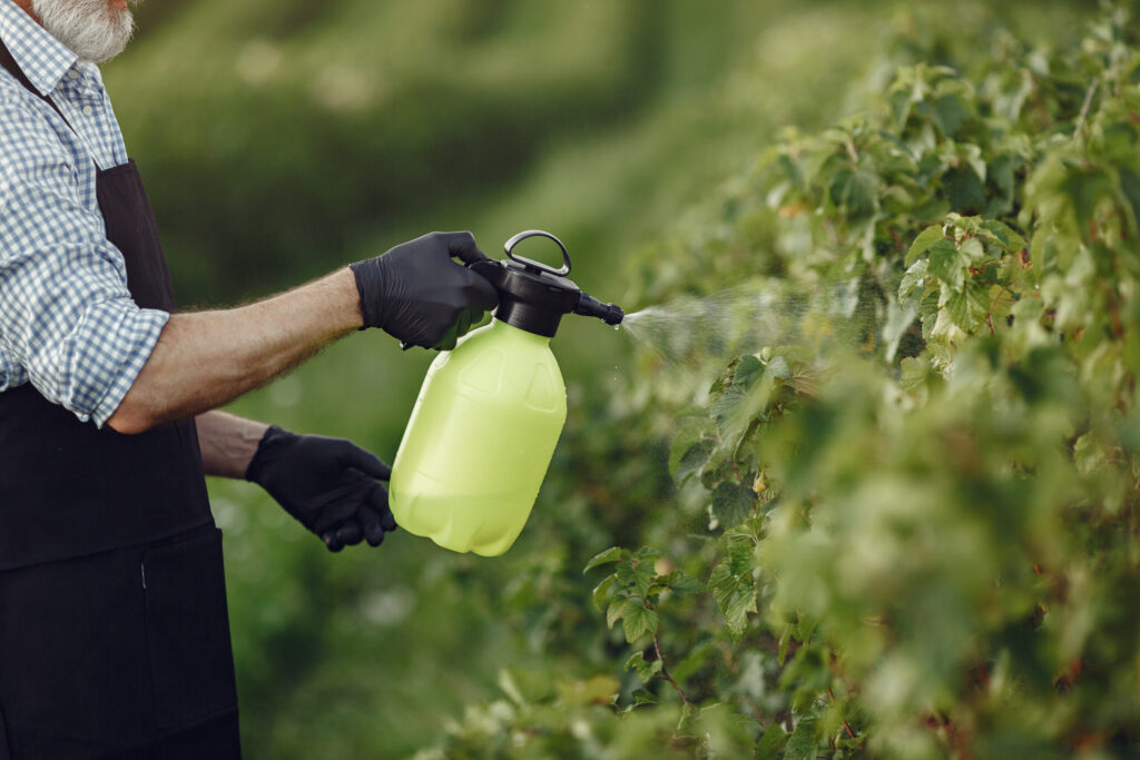 Glifosato, o agrotóxico mais utilizado no Brasil,