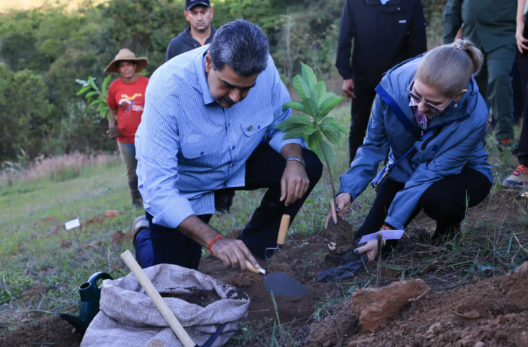 Venezuela quer plantar 10 milhões de árvores em 2026 com viveiros em mais de 5 mil comunas 