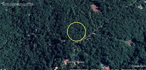 Google Earth
