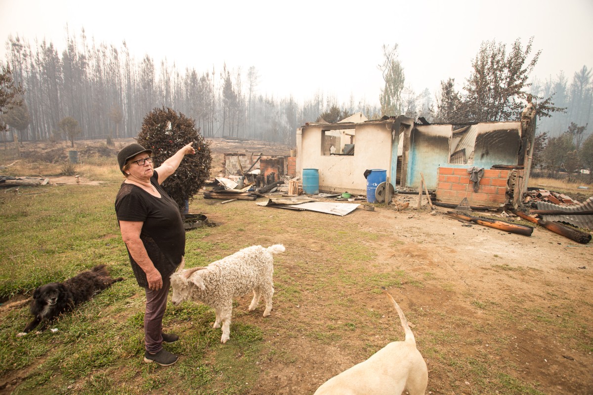 patagônia argentina incêndios mapuche