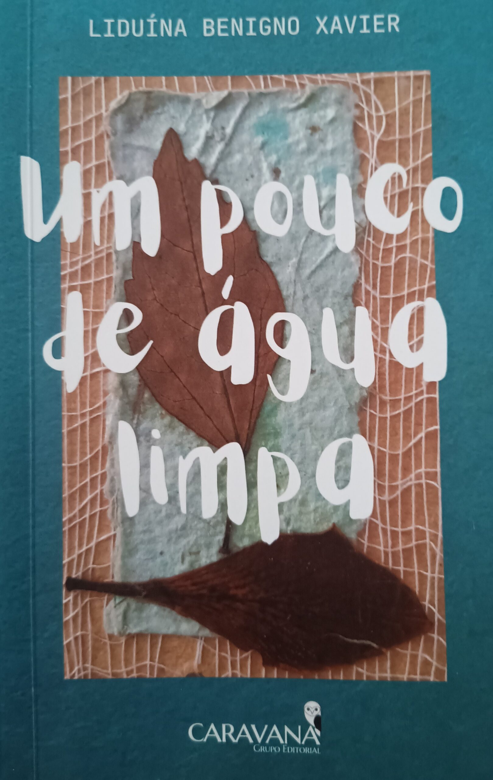 capa do livro
