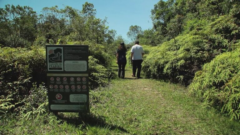 Produção da TV Brasil revisita o Caminho do Peabiru e destaca pesquisas sobre rota ancestral