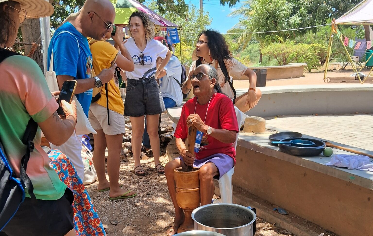 O que você precisa saber do canfo e da manjerioba | Brasil de Fato
