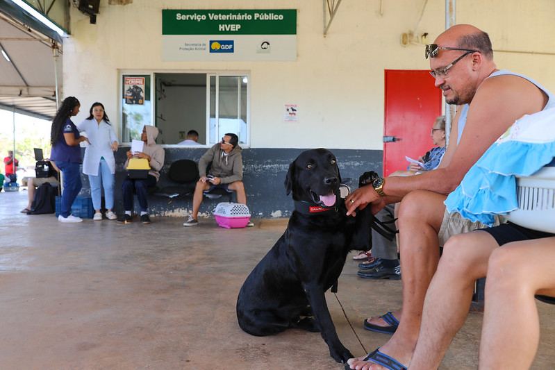 Hospital Veterinário Público de Taguatinga é referência no atendimento gratuito a cães e gatos e atende uma população crescente de tutores no DF.