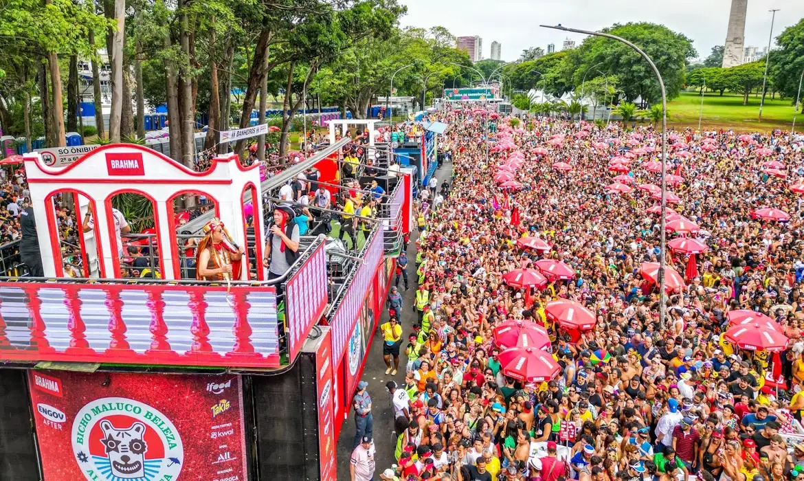 Carnaval de rua de São Paulo