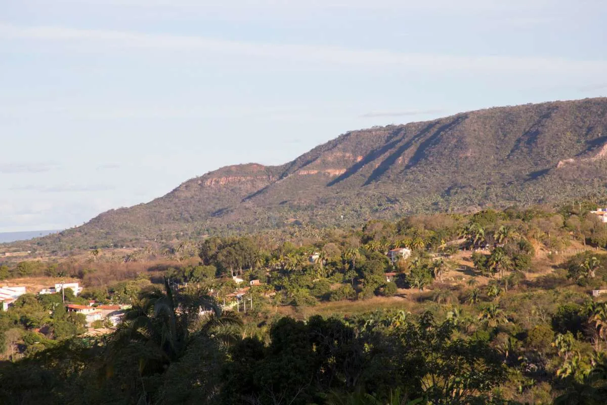 De acordo com o Movimento Salve a Chapada do Araripe, nos últimos anos, o território vem sofrendo pressões crescentes provocadas pelo desmatamento, queimadas, avanço do agronegócio e pela fragilização das políticas públicas de proteção ambiental.