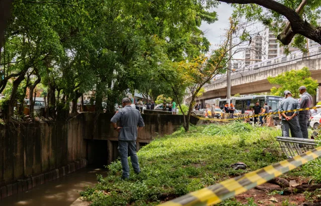 Chuvas em SP: uma pessoa morre a cada 3 dias, entre dezembro e março, há 5 anos