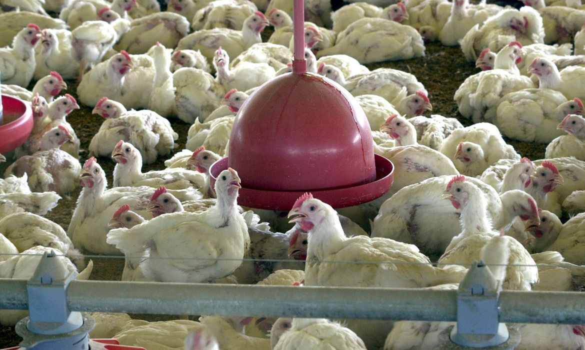 decisão foi comunicada pelas autoridades chinesas na sexta-feira (16) e confirmada nesta terça-feira (20)