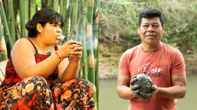 Ayvu é fala e é amor também: curso online ensina língua e cultura mbya guarani 