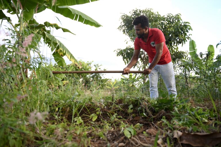 Governo Lula assina decreto para desapropriação de sete fazendas para reforma agrária